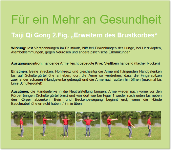 Gesundheitstipp Feber Heinz Peter Steiner HP Steiner Gesundheitscoach